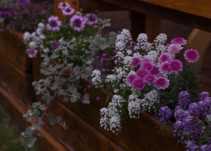 בית הארחה Zacisze צ'כוב